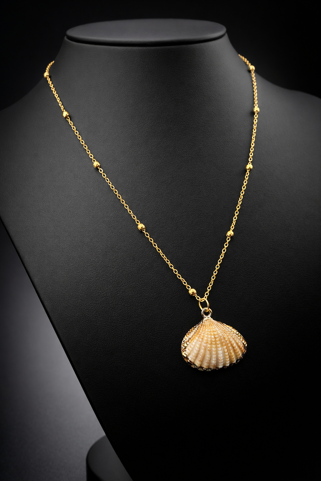 Collier coquillage