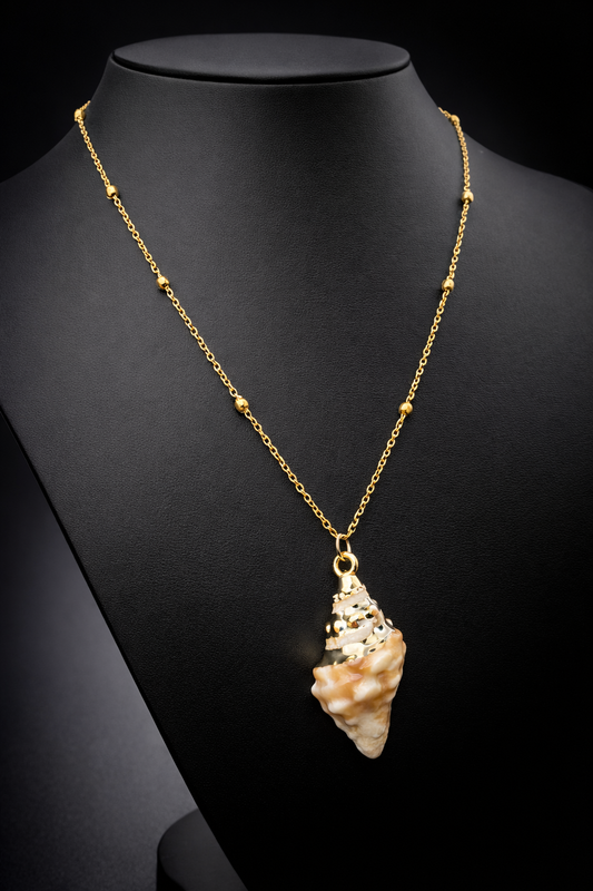 Collier coquillage