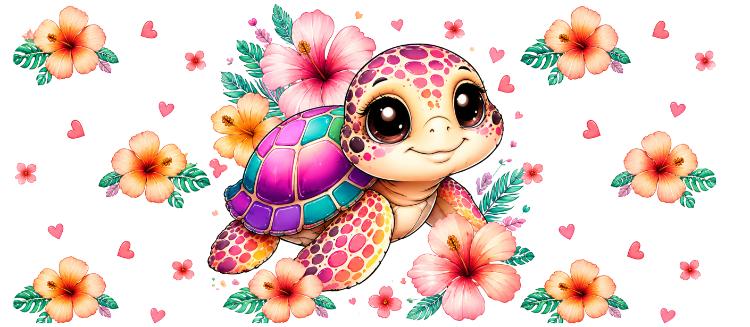 Pré-co tortue 2