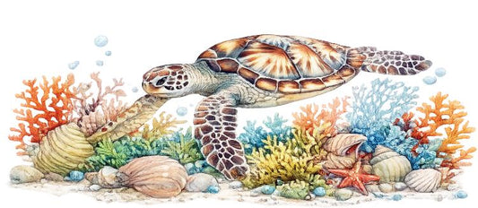 Pré-co Tortue 1