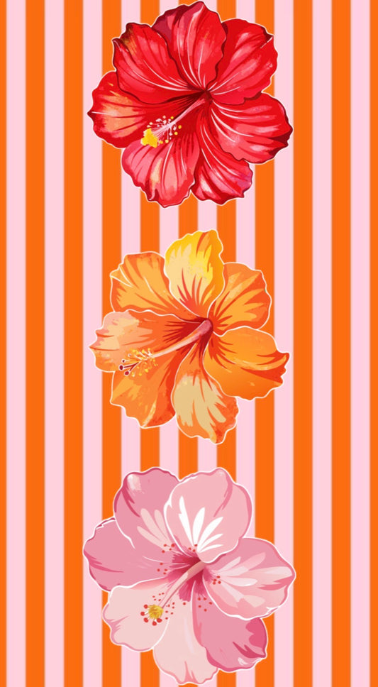 Commande Laeticia